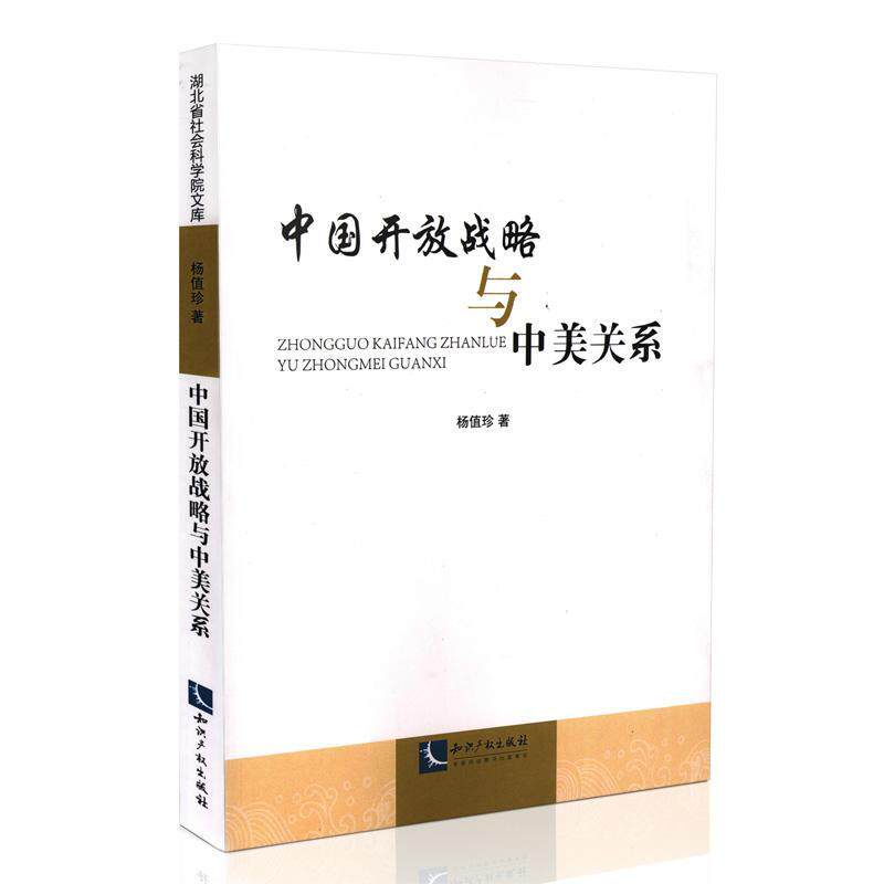 中国开放战略与中美关系杨值珍  管理书籍