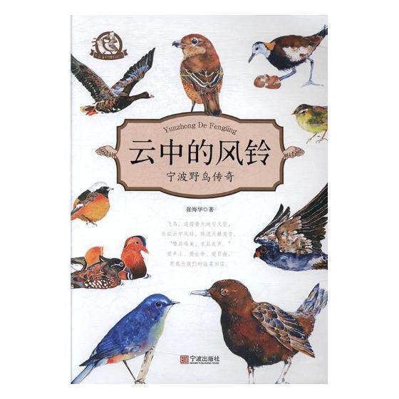 云中的风铃：宁波野鸟传奇 书张海华 自然科学 书籍