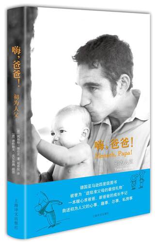 嗨，爸爸！:初为人父:Vater Werden凯斯特施伦茨 纪实文学德国现代育儿与家教书籍