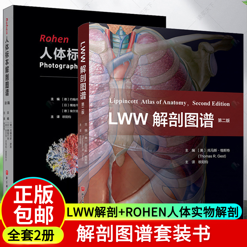 LWW+Rohen人体实物解剖