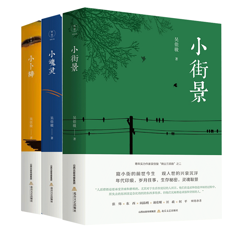 小卜辞+小街景+小魂灵微尘三部曲