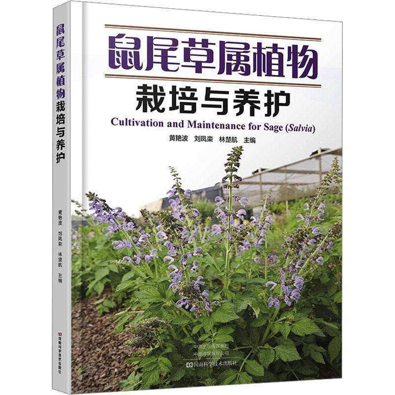 鼠尾草属植物栽培与养护9787572518904 黄艳波河南科学技术出版社图书 书籍