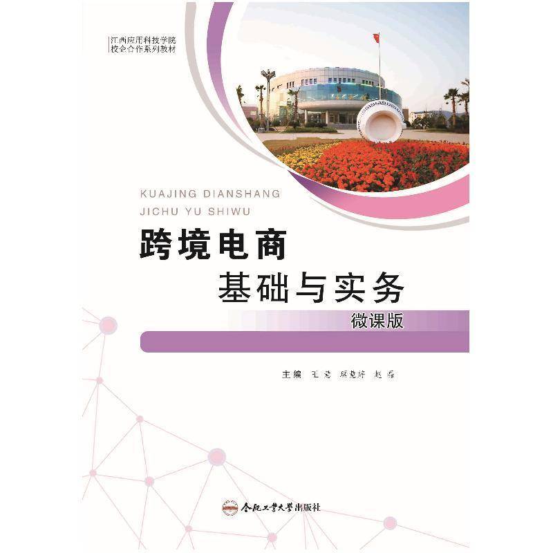 正版包邮 跨境电商基础与实务 王慧 著 合肥工业大学出版社 9787565066191