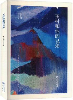王村和他的兄弟王兴国  小说书籍