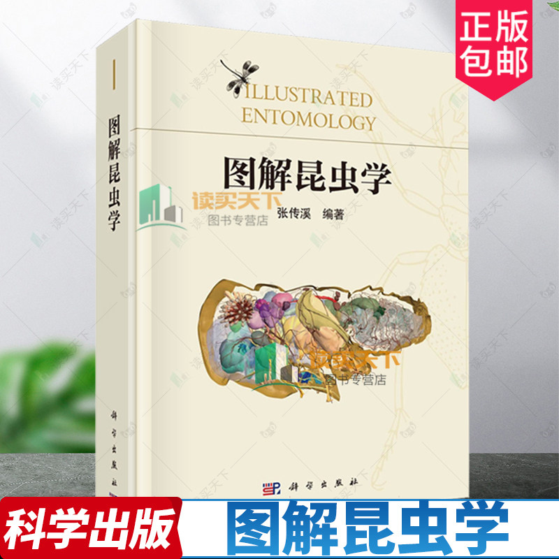 图解昆虫学 张传溪编著科普类读物昆虫学入门教材昆虫生物学 昆虫分类学 昆虫生态学 9787030774606 兜锹花臂常见昆虫野外识别手册