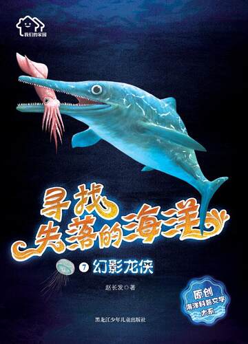 幻影龙侠赵长发  小说书籍