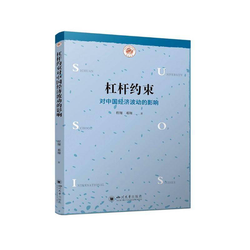 杠杆约束对中国经济波动的影响9787569074437 四川大学出版社经济 书籍