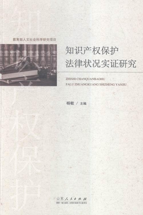 知识产权保护法律状况实证研究杨敏 知识产权法研究中国法律书籍