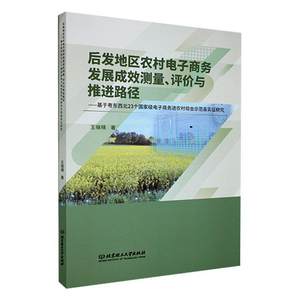 后发地区农村电子商务发展成效测量、评价与推进路径:基于粤东西北23个电子商务进农村综合示范县实证研究王晓晴管理书籍