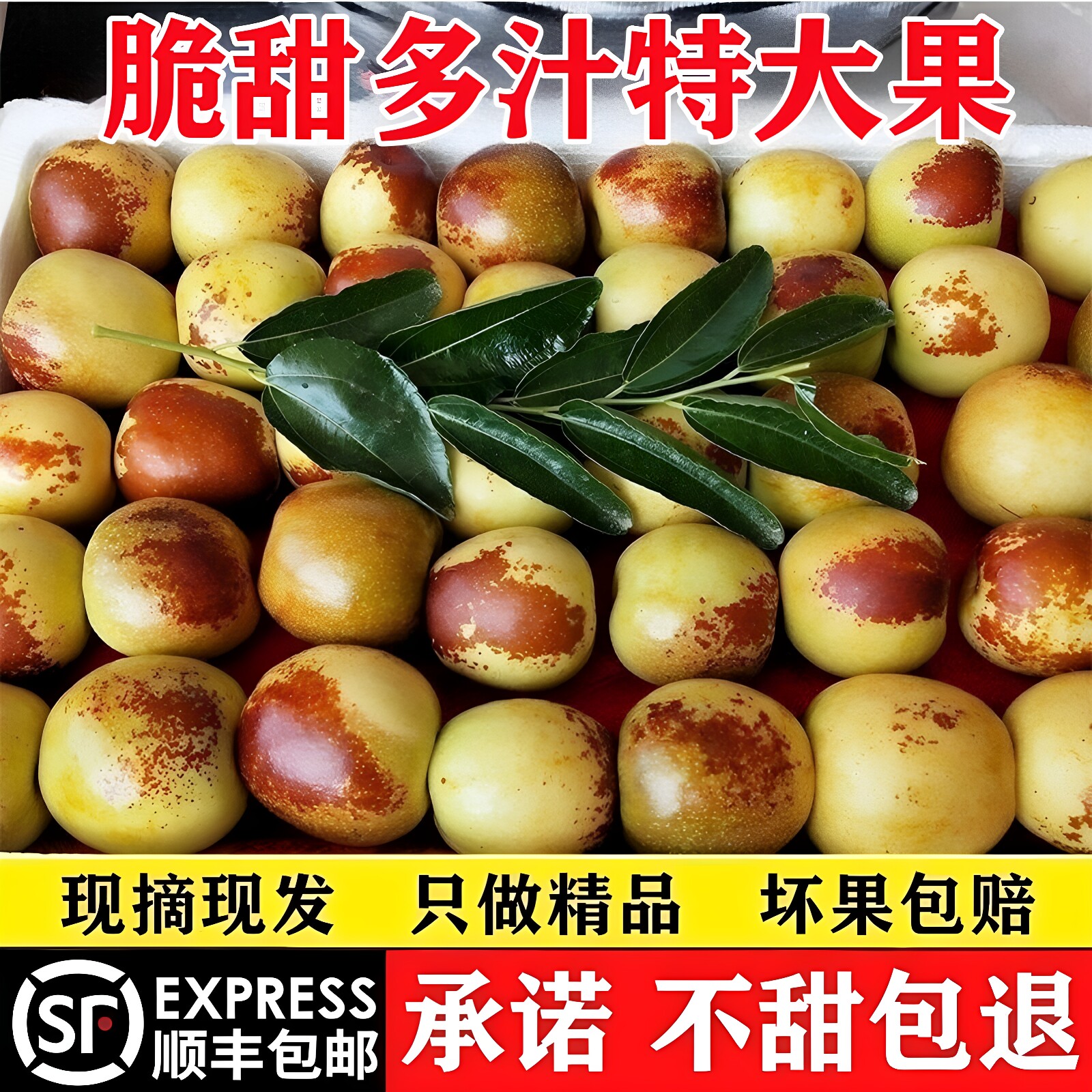 陕西大荔冬枣新鲜水果脆甜特大5斤当季冰糖孕妇枣子整箱东枣顺丰