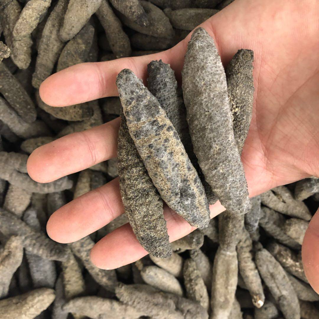 灰北极小有刺海参土耳其参 南美淡干刺参干货500g包邮