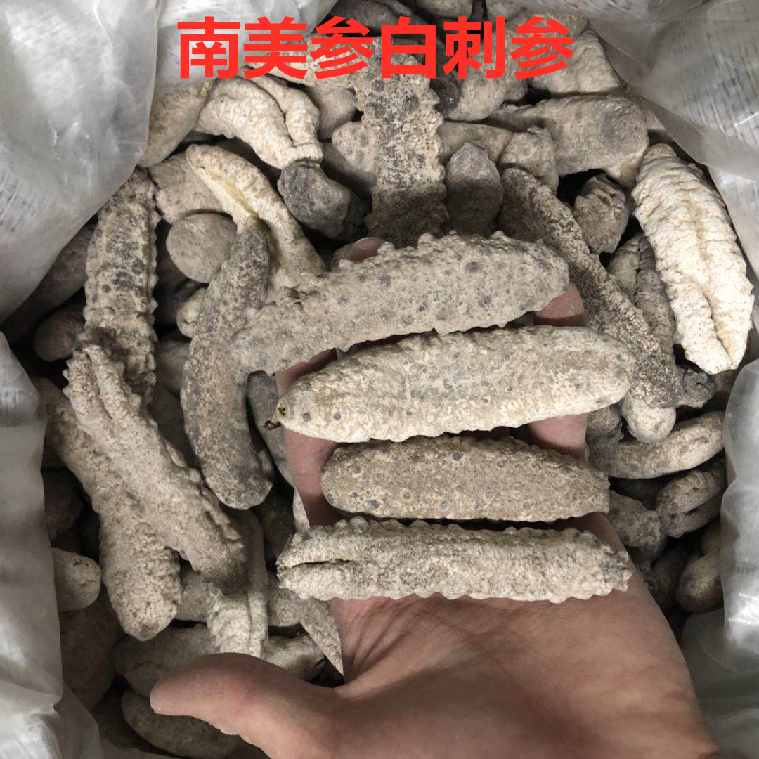 美国深海刺参包邮