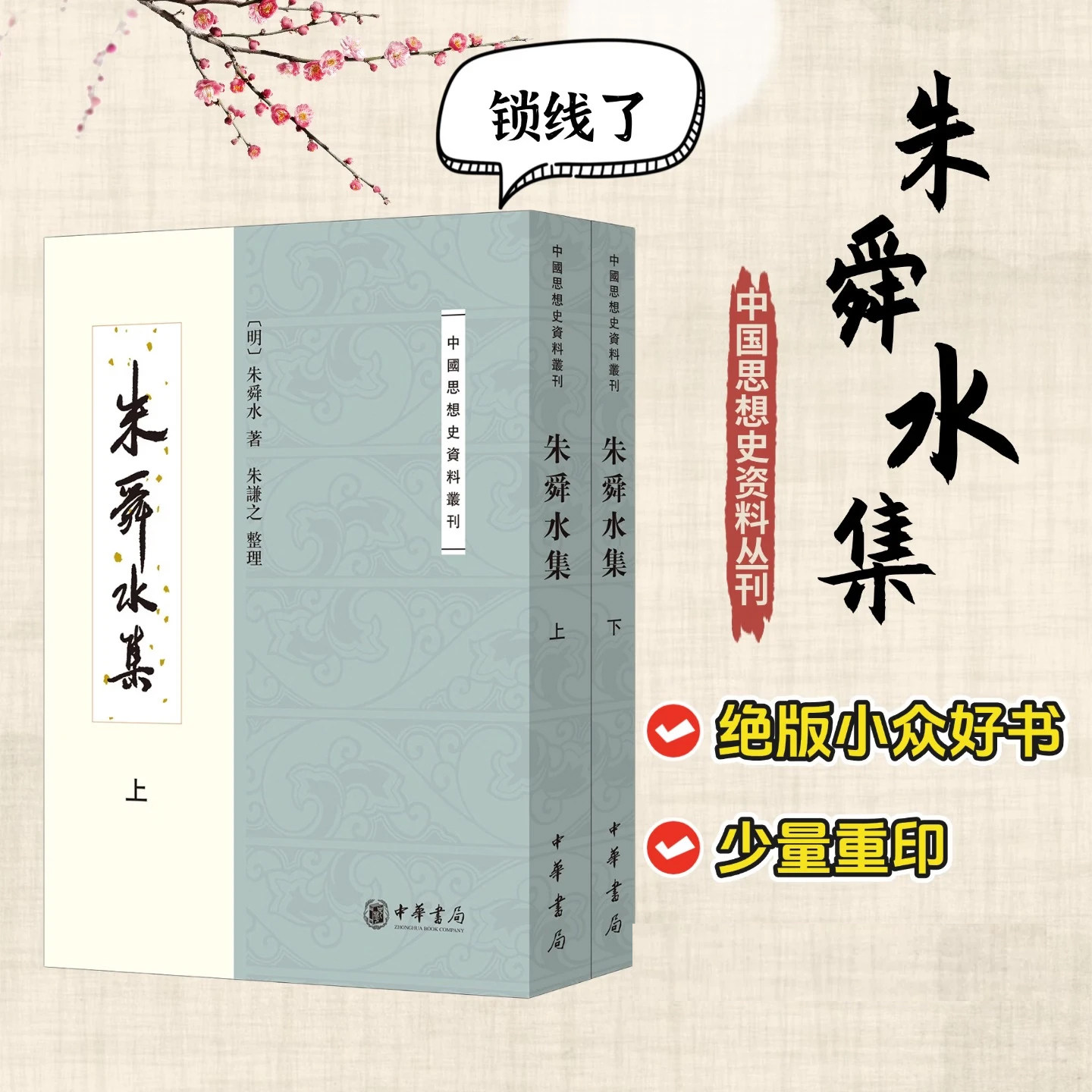 【绝版小众好书少量重印】 朱舜水集（上下册）——中国思想史资料丛刊 - 实物图