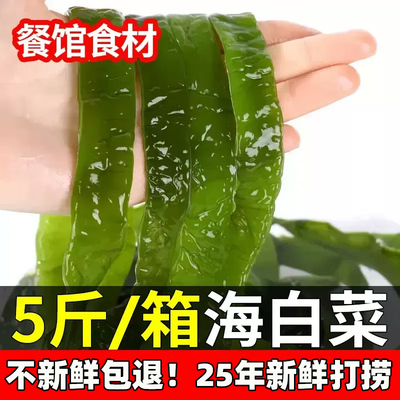5斤新鲜盐渍裙带包邮海白菜