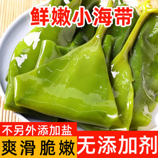 小海带5斤海带苗盐渍新鲜鲜嫩海带丝商用非干货薄麻辣烫火锅食材