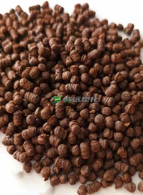 美国 Celazole (T Series) TU-60 挤出/注塑级聚苯并咪唑PBI颗粒