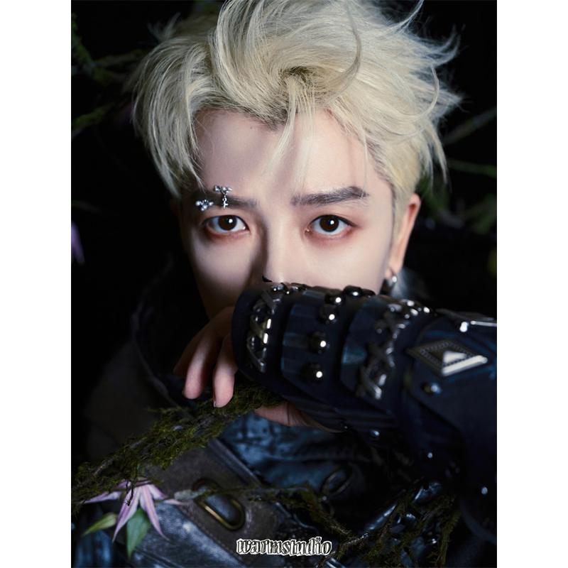 王栎鑫高清超大海报定制墙贴写真相纸挂画无框画小满生活浮图缘