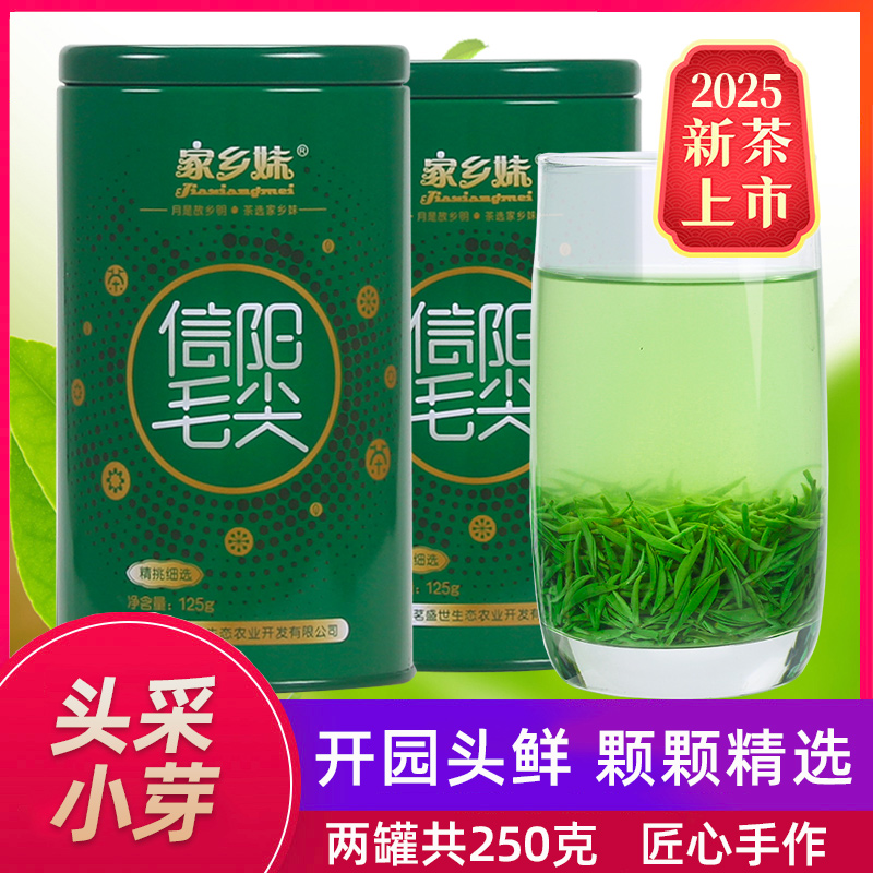 信阳毛尖2025新茶上市春茶明前特级头采小嫩芽绿茶叶兰花香型250g