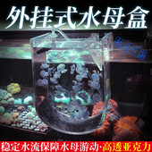 水母缸海缸外挂水母盒水循环亚克力水母饲养活物生态造景观赏养殖
