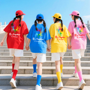 彩色纯棉短袖t恤印字logo图案班服同学聚会团建工作服文化衫定制