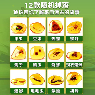 考古挖掘玩具琥珀昆虫标本挖宝石盲盒寻宝恐龙化石夜光男孩挖宝藏
