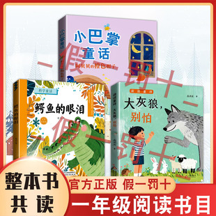 26寒假整本书共读正版新书 大灰狼别怕 鳄鱼的眼泪 小巴掌童话·阿贝贝的橙色帽子 一年级课外阅读书目 全套三本一年级阅读书籍