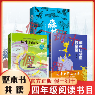 26寒假整本书共读正版新书 灰尘的旅行 森林报（冬） 藏在口袋里的星星 四年级课外阅读书目 全套三本四年级阅读书籍