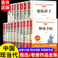 鲁迅经典文学书全套原著正版老舍儿童文学作品选小学生课外阅读书籍初中生必读物朝花夕拾狂人日记故乡野草故事骆驼祥子茶馆散文集