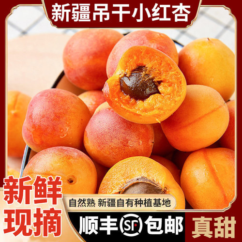 顺丰阿克苏小红杏新鲜水果