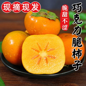 巧克力脆柿子新鲜水果当季冰糖心黄甜硬柿子火晶特产大软整箱包邮