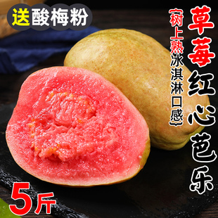 广东软糯红心芭乐水果软心番石榴整箱奶油蕃鸡屎果当季新鲜巴乐果