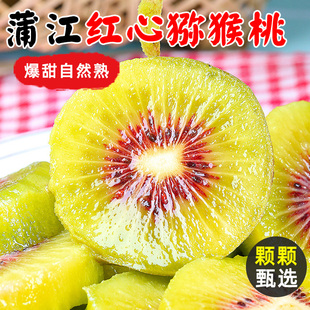 應當季 孕婦水果整箱大 包郵 四川蒲江紅心獼猴桃新鮮奇異果彌猴桃
