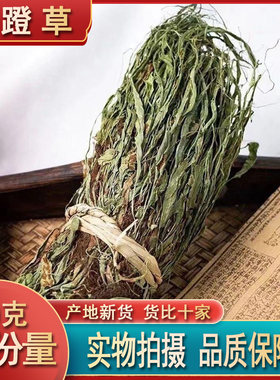 马蹬草 材 包邮 过桥草 还阳草 马登草 马瞪草名贵药材