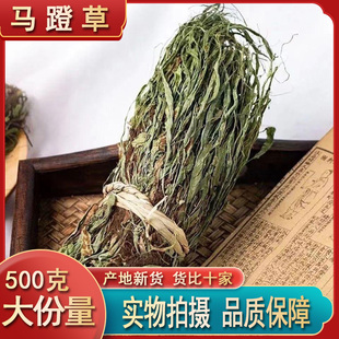 马蹬草 材 包邮 过桥草 还阳草 马登草 马瞪草名贵药材