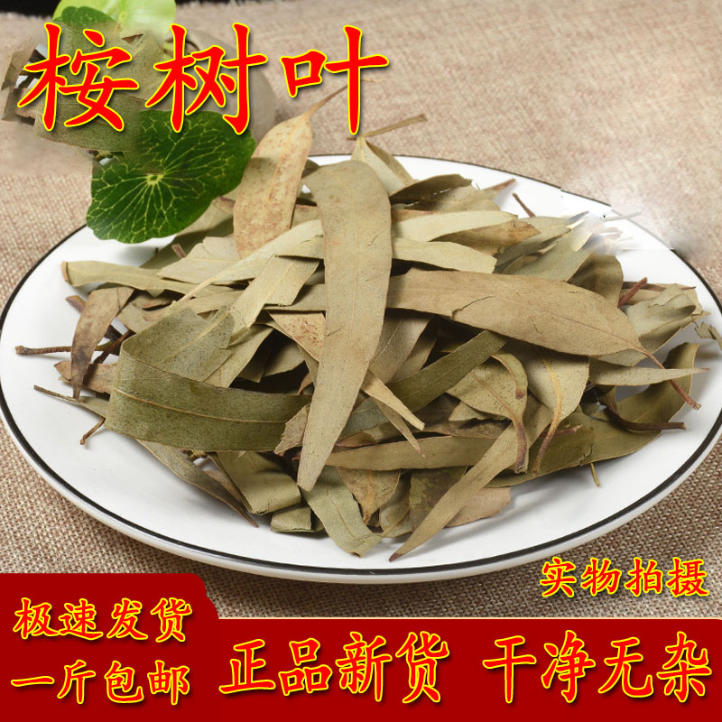 桉树叶 中药材 密袋鼠 除臭 大桉叶洗脸 洗澡 尤加利叶 500克包邮