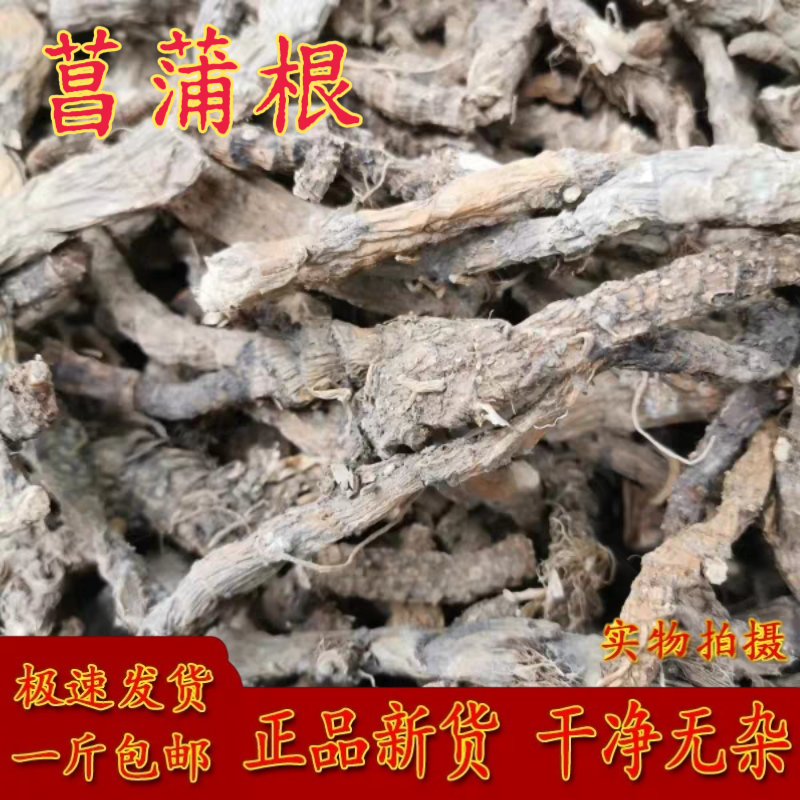 野生干货水菖蒲老根泥菖莆臭蒲根水菖蒲草根水剑草中药材石菖蒲