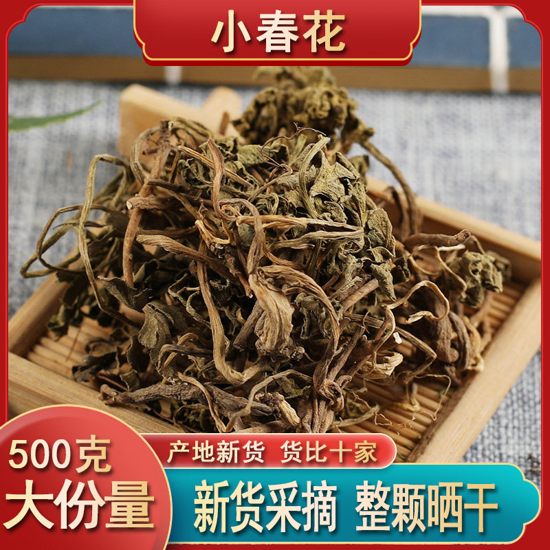 中药材野生小春花一朵云阴地蕨蛇不见独脚金鸡阴地厥中草药材包