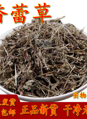 中药材野生大乳汁草白乳草