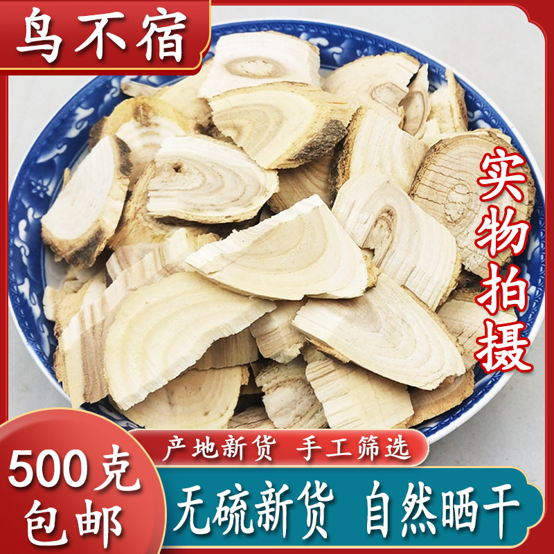 鸟不宿中药材 野生 鹰不泊 楤木根 葱木 鸟不落 新货500g克包邮