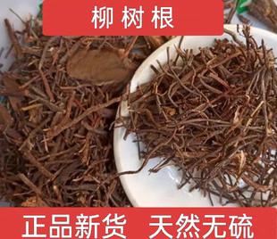 柳树根 中药材柳树根须 杨柳须 水柳须 红龙须 青龙须 新货包邮