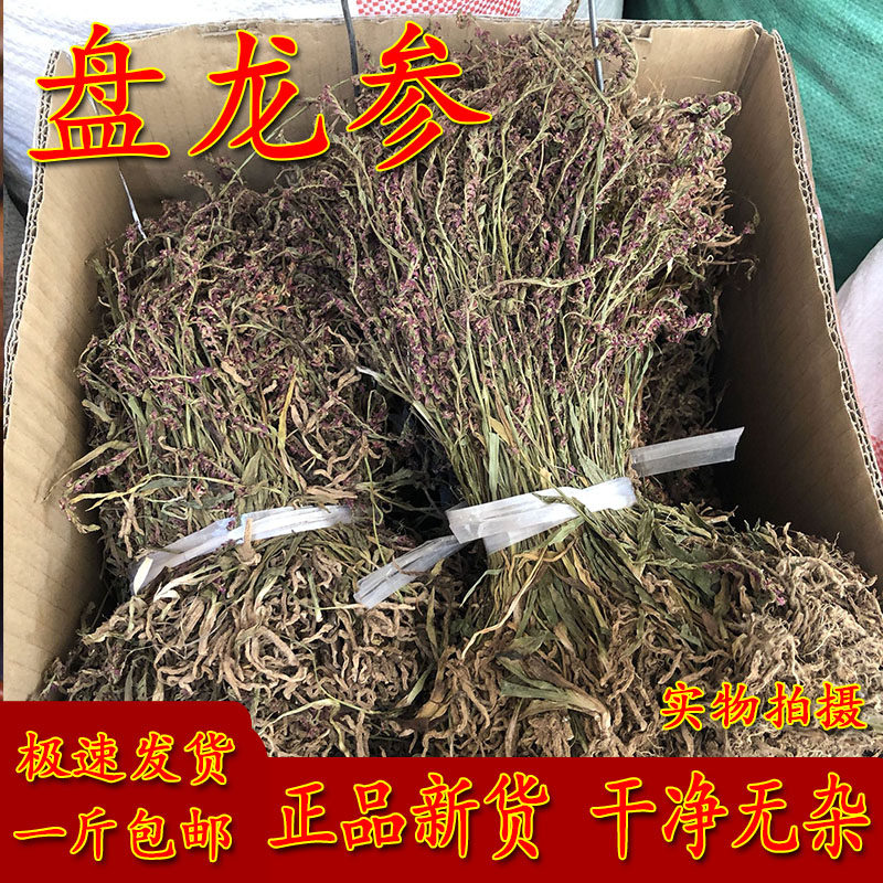 盘龙参中药材贵州盘龙参野生盘龙参苗绶草龙 鲤鱼草 海珠草猪辽参