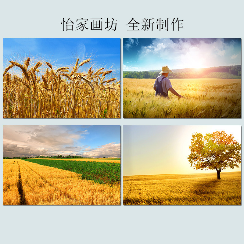 客厅金色麦田丰收装饰画农村自然风景麦穗自粘壁画卧室餐厅风水画