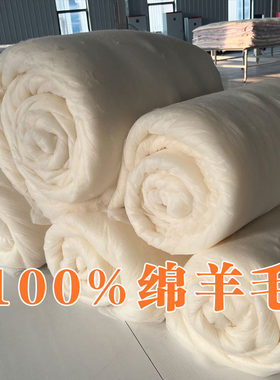 100%细羊毛绒棉被胎褥子填充物绵羊绒被芯羊毛被絮片加厚秋冬被
