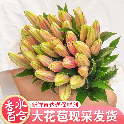 大头香水百合鲜花云南基地直发真花束重瓣鲜切花直批家用水养插花