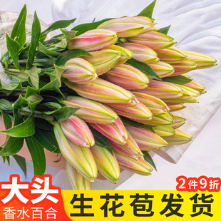 香水百合鲜花云南基地直发鲜切花真花水养家用母亲节花束百合混搭