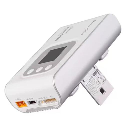 ACE格氏s100智能充电器100W2-6S