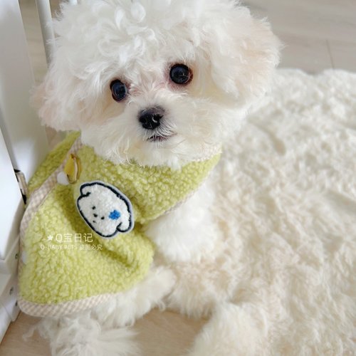 【无袖马甲】牵引可爱宠物猫咪比熊雪纳瑞小狗泰迪狗狗衣服秋冬装