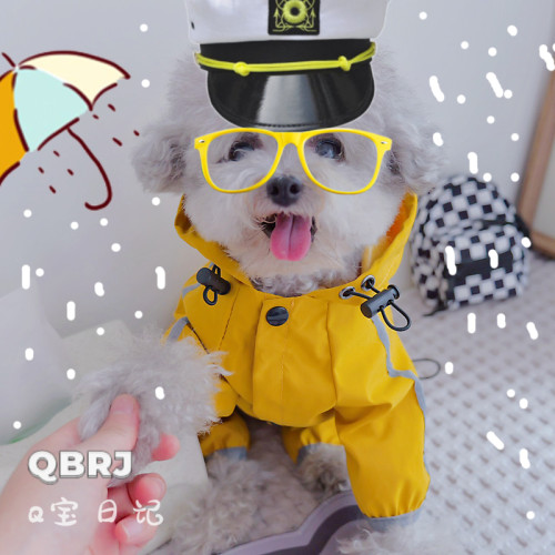 狗雨衣四脚衣防水简洁
