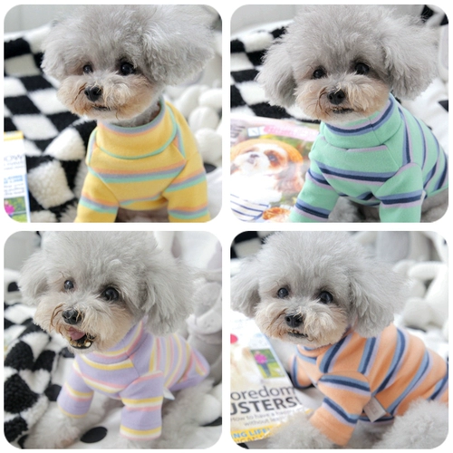 Pet Biebeli Bel Mei xuenari маленький собачий щенк