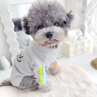 薄款 高弹T恤宠物比熊雪纳瑞泰迪狗狗衣服秋装 帅气 许我耀眼